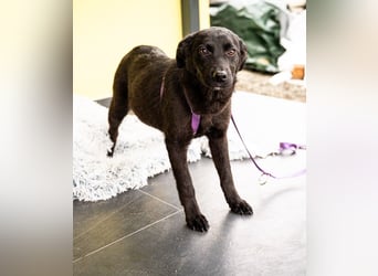 Beauty sucht ihr Glück...