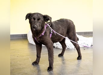 Beauty sucht ihr Glück...