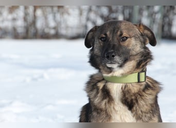 Juli sucht Liebevolle  Familie....