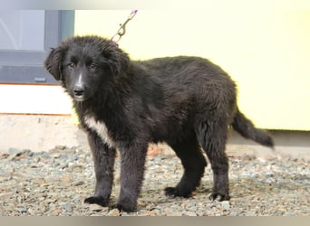 Eymina unsere kleine Schönheit..