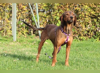 Romy sucht ihre Lieblingsmenschen...