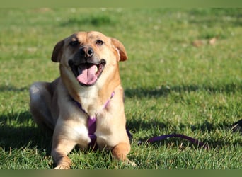 Nella sucht ihre Menschen....