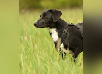 Tinella sucht liebevolle Familie...