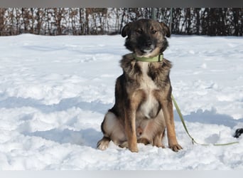 Juli sucht Liebevolle  Familie....