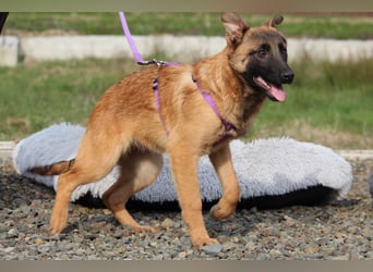 Kessy unsere große Schönheit...