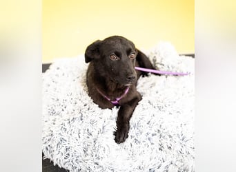 Beauty sucht ihr Glück...