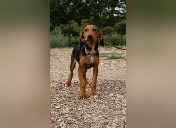 Tajno unser kleiner Chameur
