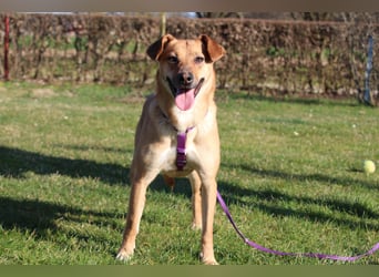 Nella sucht ihre Menschen....