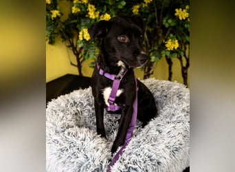 Sweety möchte ihr Herz verschenken....