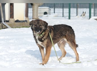 Juli sucht Liebevolle  Familie....