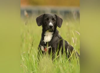 Tinella sucht liebevolle Familie...