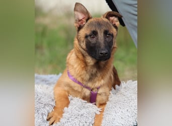 Kessy unsere große Schönheit...