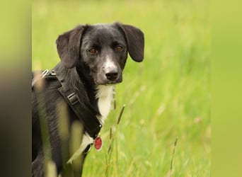 Tinella sucht liebevolle Familie...