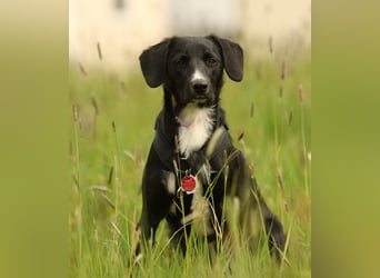 Tinella sucht liebevolle Familie...