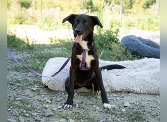 Lilly sucht ihre Lieblingsmenschen....