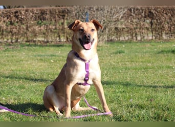 Nella sucht ihre Menschen....