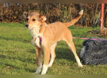 Alea möchte ihr Herz verschenken...