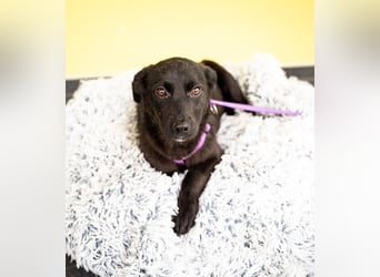 Beauty sucht ihr Glück...