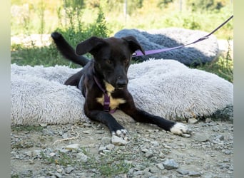 Lilly sucht ihre Lieblingsmenschen....