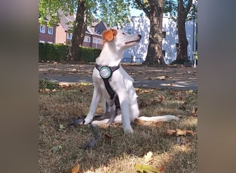 Aleika unsere kleine Schönheit..