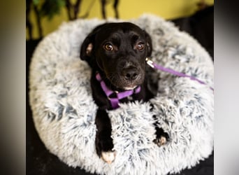 Sweety möchte ihr Herz verschenken....