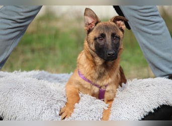 Kessy unsere große Schönheit...