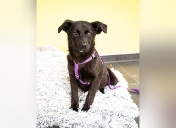 Beauty sucht ihr Glück...