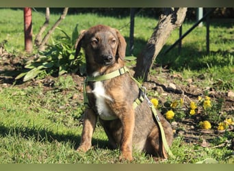 Fynn sucht sein Glück...