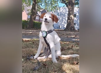Aleika unsere kleine Schönheit..