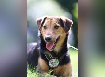 Salmo möchte mit Dir die Welt entdecken