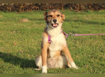 Alea möchte ihr Herz verschenken...