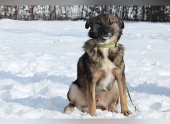 Juli sucht Liebevolle  Familie....