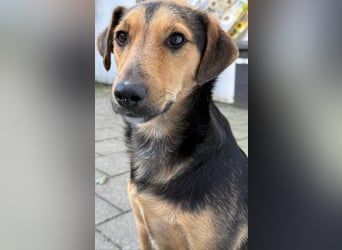 Salmo möchte mit Dir die Welt entdecken
