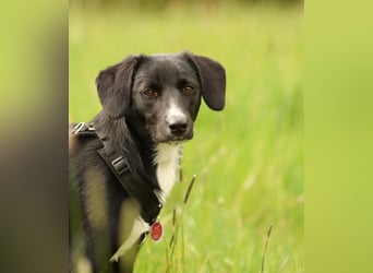 Tinella sucht liebevolle Familie...