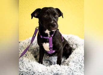 Sweety möchte ihr Herz verschenken....