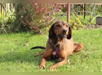 Romy sucht ihre Lieblingsmenschen...