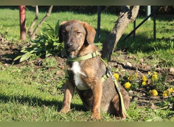 Fynn sucht sein Glück...