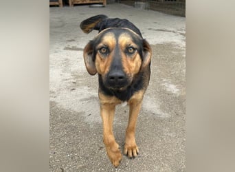 Wundervolle Aylini sucht eine Familie