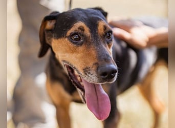 Jasco ❤️ neugierig, lebhaft & verspielt