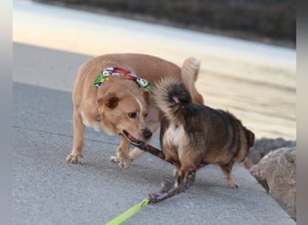 Kika & Max ❤️ gemeinsames Zuhause gesucht