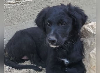 Mila ❤️ so süßes + lebensfrohes Mädchen!