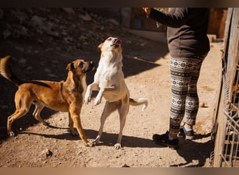 Liebe Nala möchte bei dir einziehen
