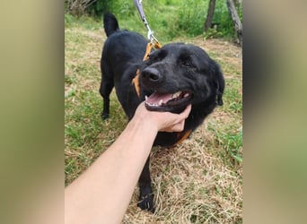 Lady Gara ♥️ freundlich, offen, verschmust