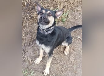 Otto ❤️ so freundlich und verträglich!