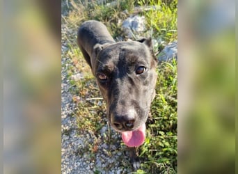 Goldige Godina | sozial,aktiv,lebensfroh 