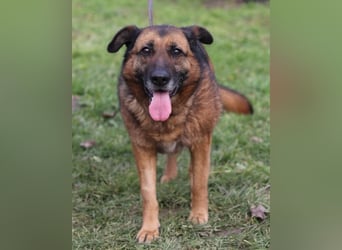 Einzelprinzessin Edna ❤️ sucht ihr Körbchen