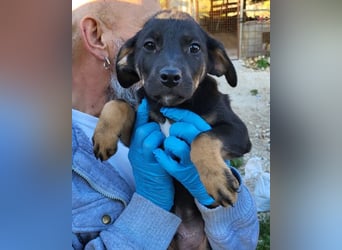 Jonas ❤️ fröhlicher + lebensfroher Schatz!