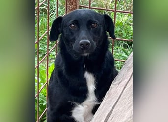 PINA❤️liebe, soziale Schönheit mit Charakter