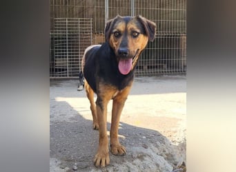 Wundervolle Aylini sucht eine Familie