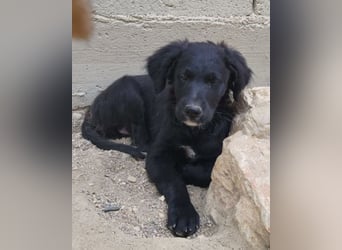 Mila ❤️ so süßes + lebensfrohes Mädchen!